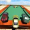 Deadly Stunt with Wild Racer