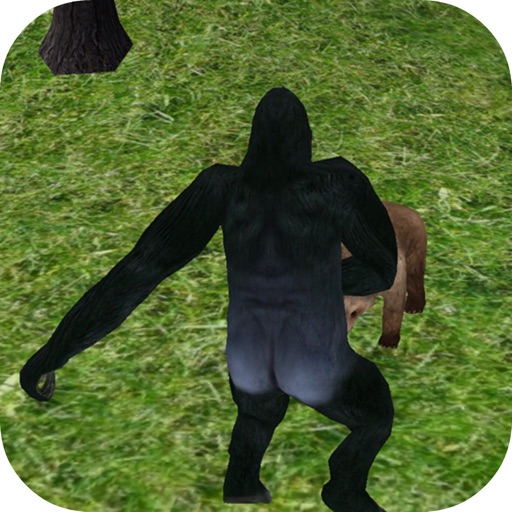Wild Gorilla Sim Wild Gorilla Sim