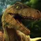 Raptor Evolution