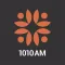 Nashe Radio USA