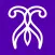 AshAko