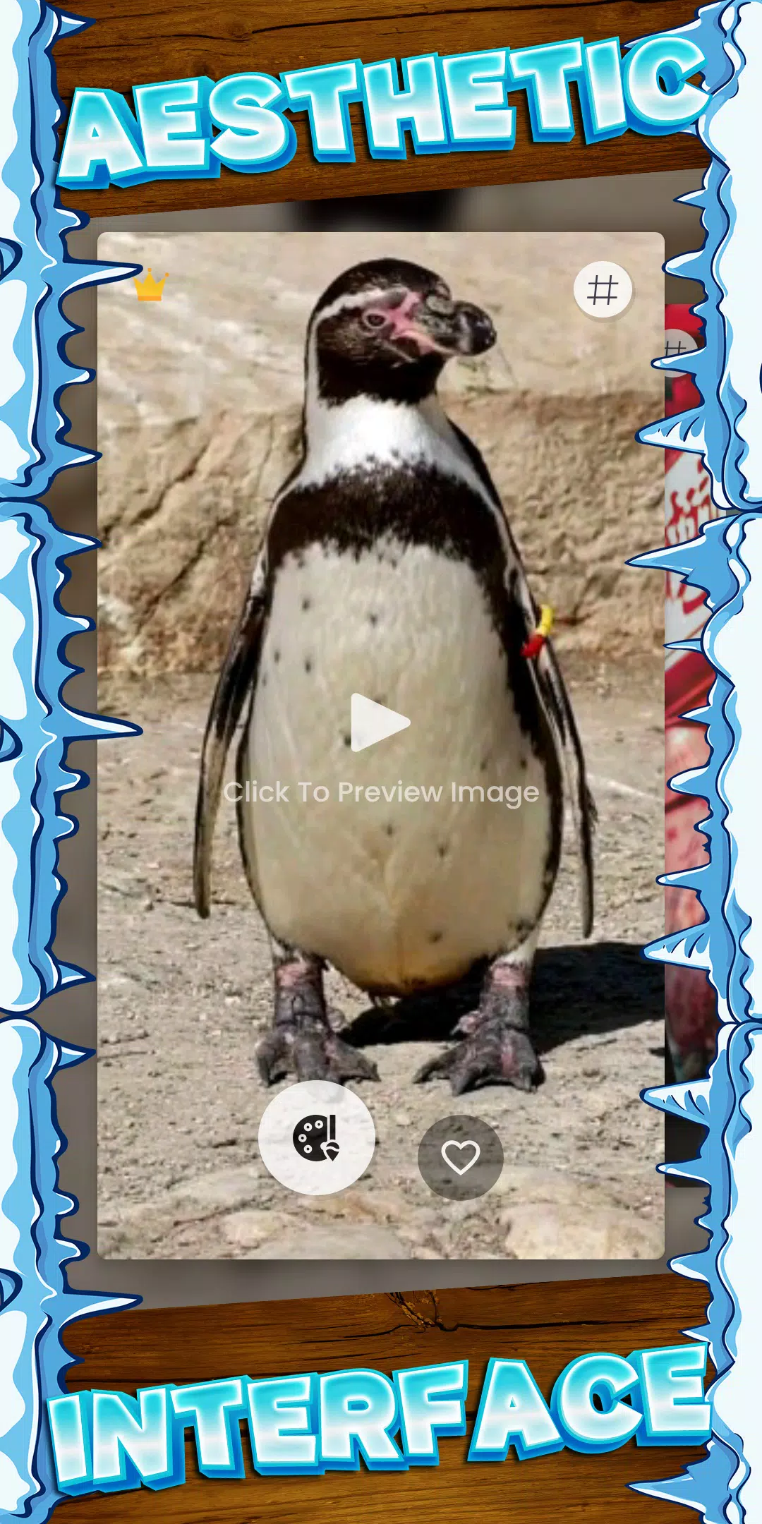 penguin wallpaper Screenshots