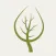 Botanica Morfologica