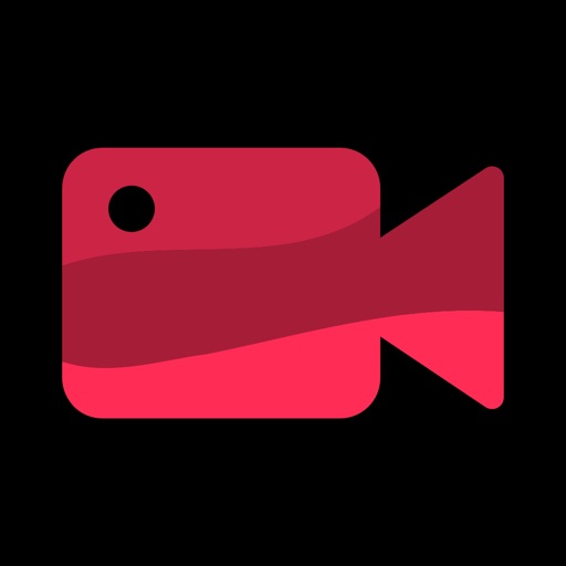 Video Diary - One Second Daily Video Diary - One Second Daily