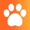 Pawwink: Забота о питомцах