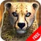 Wild Cheetah Simulator Game - Animals Survival 3d