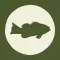 Local Catch App