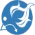Pasthi - News Hub