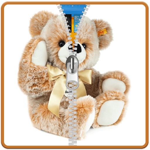 Teddy Bear Zip Locker