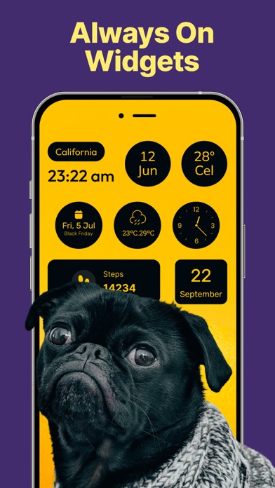 Lock Screen Widgets Screenshots