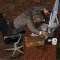 AUCTION HOUSE ATROCITY