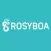 Rosyboa - Collaboration App