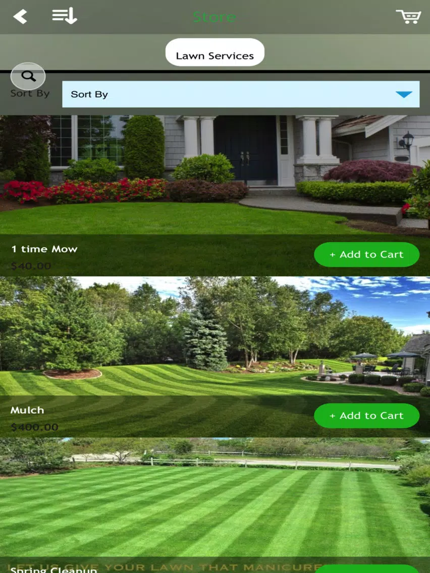 Lorenzo Landscaping iPad Screenshots