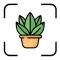 Plant ID: leaf identification