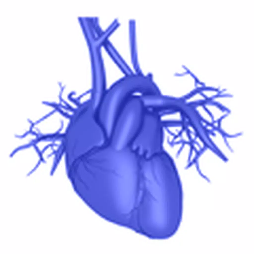 3D for Health Success Stories 3D for Health Success Stories