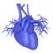 3D for Health Success Stories