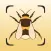 Insect Identifier: Scan Bug