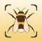 Insect Identifier: Scan Bug