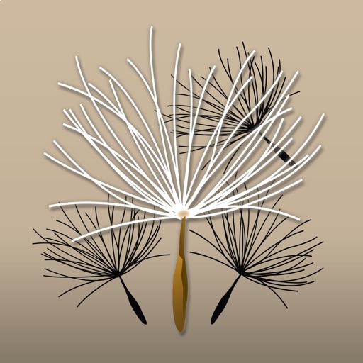 Federal Noxious Weeds Key Federal Noxious Weeds Key