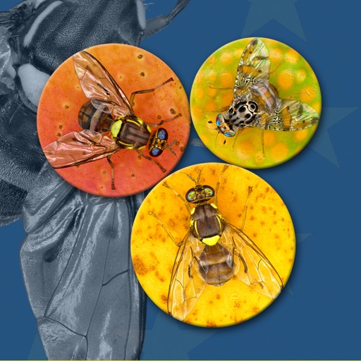 Key important fruit flies EU Key important fruit flies EU