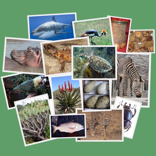 IDentifyIt Species IDentifyIt Species