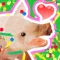 Animal Run Battle