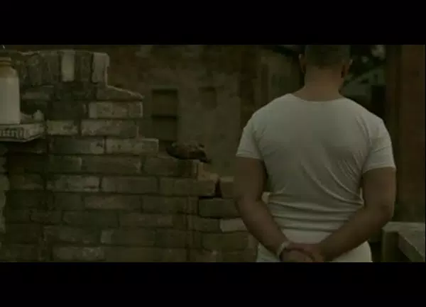 New Dangal Movie Song 2017 Screenshots