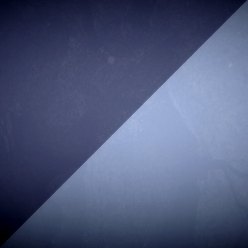 Duality Shift - Cadence Flux Duality Shift - Cadence Flux
