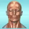 Muscle Anatomy Reference Guide
