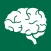 Nervous System Reference Guide
