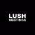 Lush Manager Meetings