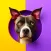 DogMentor