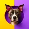 DogMentor