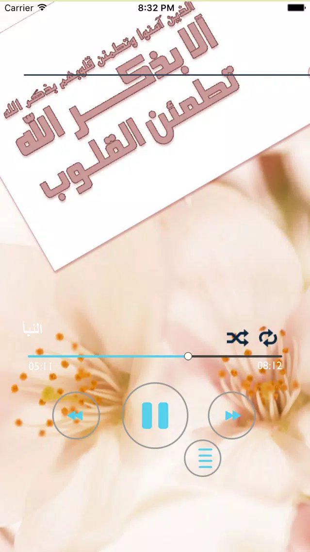 القرآن الكريم ـ عبد الباسط عبد الصمد ـ بدون نت Screenshots