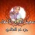 تحفيظ القرآن للأطفال ـ بدون نت ـ مع العفاسي