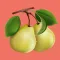 Keep Fruit