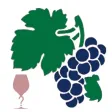 Weinquiz Allgemein