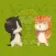 Pets Order 3D