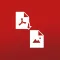 PDF to Image.