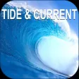 Tide Stations of USA MGR