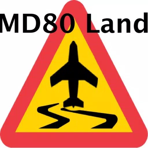 MD80 Landing MD80 Landing