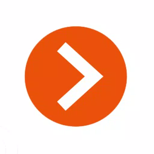 Macroscop video surveillance