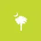 South Carolina Vacation Guide