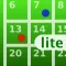 iLogger Lite