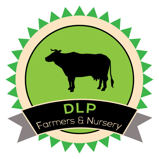 DLP Farmer