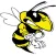 Mad Wasp Radio