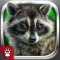 Animals words for kids! Rhymes