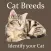 Cat Breeds - Identify your Cat