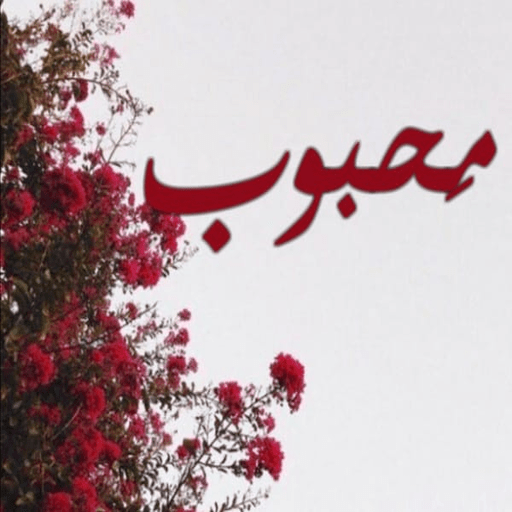 محبوب