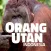 OrangUtan - Indonesia